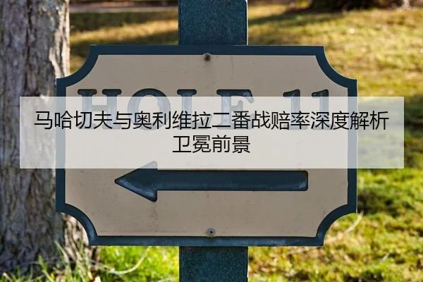 马哈切夫与奥利维拉二番战赔率深度解析卫冕前景